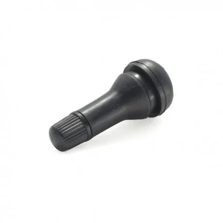 Valve coudée pour pneu tubeless