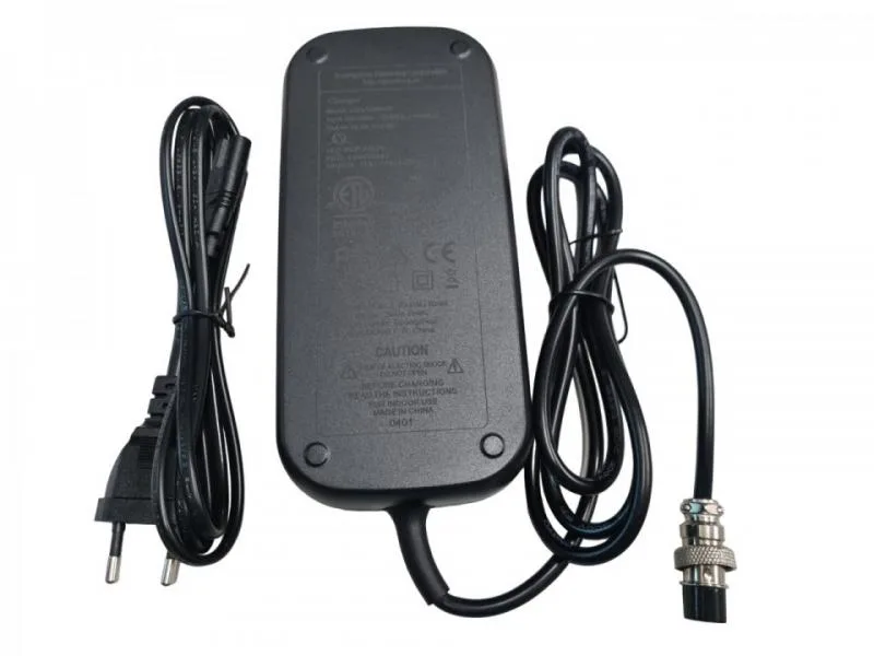 Chargeur de batterie lithium 54,6 V 2 A 1 300 watts/1200