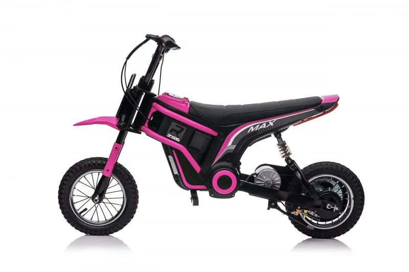 ECO BIKE  350W/24V/10Ah