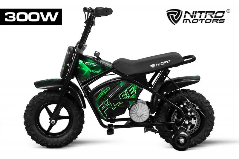 Eco Flee 300 W 24 V 6.5 pouces livraison gratuite via le sit
